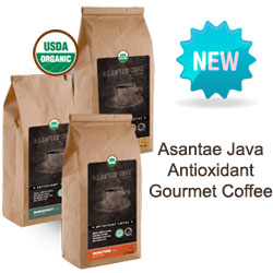 Asantae Java Antioxidant Coffee